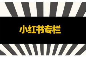 品牌医生·小红书全链营销干货，5个起盘案例，7个内容方向，n条避坑指南