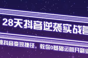 28天抖音逆袭实战营，从0学习抖音运营2个月，每天几小时，快速开启副业月入2w+