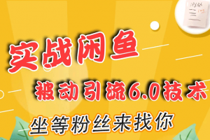 实战闲鱼被动引流6.0技术，坐等粉丝来找你，打造赚钱的ip(16节课+话术指导)