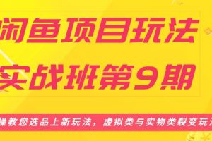 闲鱼项目玩法实战班第9期（二）选品四步骤与四种变现方法，引流到微信方法