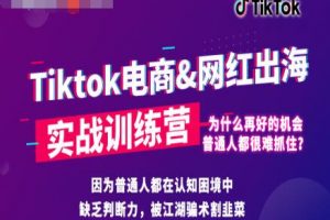 零基础学习抖音国际版TikTok海外短视频新手实战训练营【视频课】