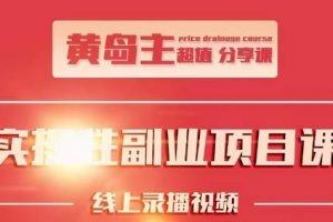 黄岛主实操性小红书副业项目，教你快速起号并出号，万粉单价1000左右