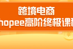 2020跨境电商蓝海新机会-SHOPEE大卖特训营：高阶终极课程（16节课）