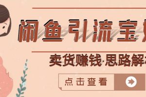 闲鱼引流宝妈粉+卖货赚钱一个月收益30000+（实操视频教程）