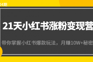 21天小红书涨粉变现营（第4期）：带你掌握小红书爆款玩法，月赚10W+秘密