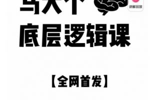 马大个·底层逻辑课，51节底层逻辑智慧课-价值1980元