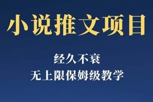 经久不衰的小说推文项目，单号月5-8k，保姆级教程，纯小白都能操作