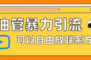 油管暴力引流，可以自由放联系方式【揭秘】