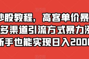 靠炒股教程，高客单价暴力变现，多渠道引流方式暴力涨粉，新手也能实现日入2000+【揭秘】