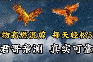 动物超燃混剪，每天轻松5张，剪辑简单大家爱看【揭秘】