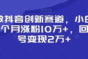 靠做抖音创新赛道，小白也能一个月涨粉10万+，回收账号变现2万+【揭秘】