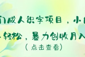 冷门成人识字项目，小白上手轻松，暴力创收月入5w+【揭秘】