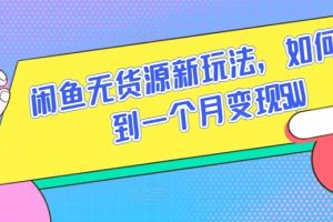 闲鱼无货源新玩法，如何做到一个月变现5W【揭秘】