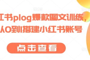 小红书plog爆款图文训练，从0到1搭建小红书账号