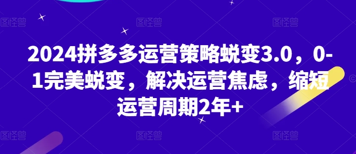 2024拼多多运营策略蜕变3.0，0-1完美蜕变，解决运营焦虑，缩短运营周期2年+