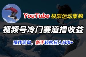 视频号冷门赛道撸收益，YouTube搬运极限运动集锦，暴力起号，操作简单流量高，轻松日入5张【揭秘】