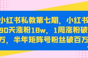 小红书私教第七期，小红书90天涨粉18w，1周涨粉破万，半年矩阵号粉丝破百万