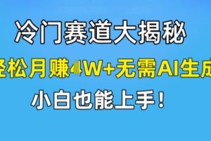 冷门赛道大揭秘，轻松月赚1W+无需AI生成，小白也能上手【揭秘】