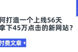 某付费文章《如何打造一个上线56天就拿下45万点击的新网站?》