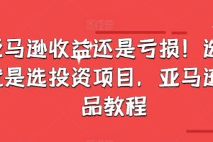 亚马逊收益还是亏损！选品就是选投资项目，亚马逊选品教程