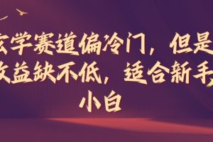 玄学赛道偏冷门，但是收益缺不低，适合新手小白【揭秘】