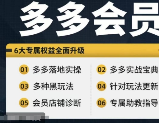 拼多多会员，拼多多实战宝典+实战落地实操，从新手到高阶内容全面覆盖