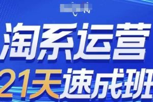 淘系运营21天速成班(更新24年7月)，0基础轻松搞定淘系运营，不做假把式