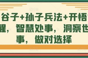 鬼谷子+孙子兵法+开悟觉醒，智慧处事，洞察世事，做对选择