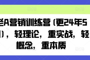 老A营销训练营(更24年9月)，轻理论，重实战，轻概念，重本质