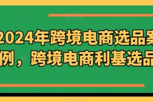 2024年跨境电商选品案例，跨境电商利基选品（更新11月）