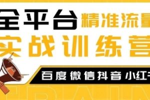 全平台精准流量实战训练营，百度微信抖音小红书SEO引流教程