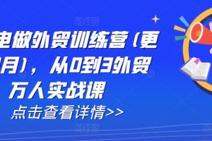 AI闪电做外贸训练营(更新12月)，从0到3外贸万人实战课