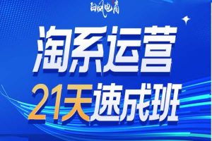 淘系运营21天速成班35期，年前最后一波和2025方向